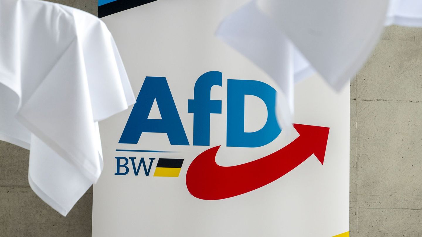 Die AfD-Delegierten zeigten sich nicht begeistert von der Überraschung