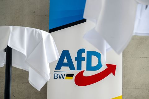 Die AfD-Delegierten zeigten sich nicht begeistert von der Überraschung. Foto: Stefan Puchner/dpa