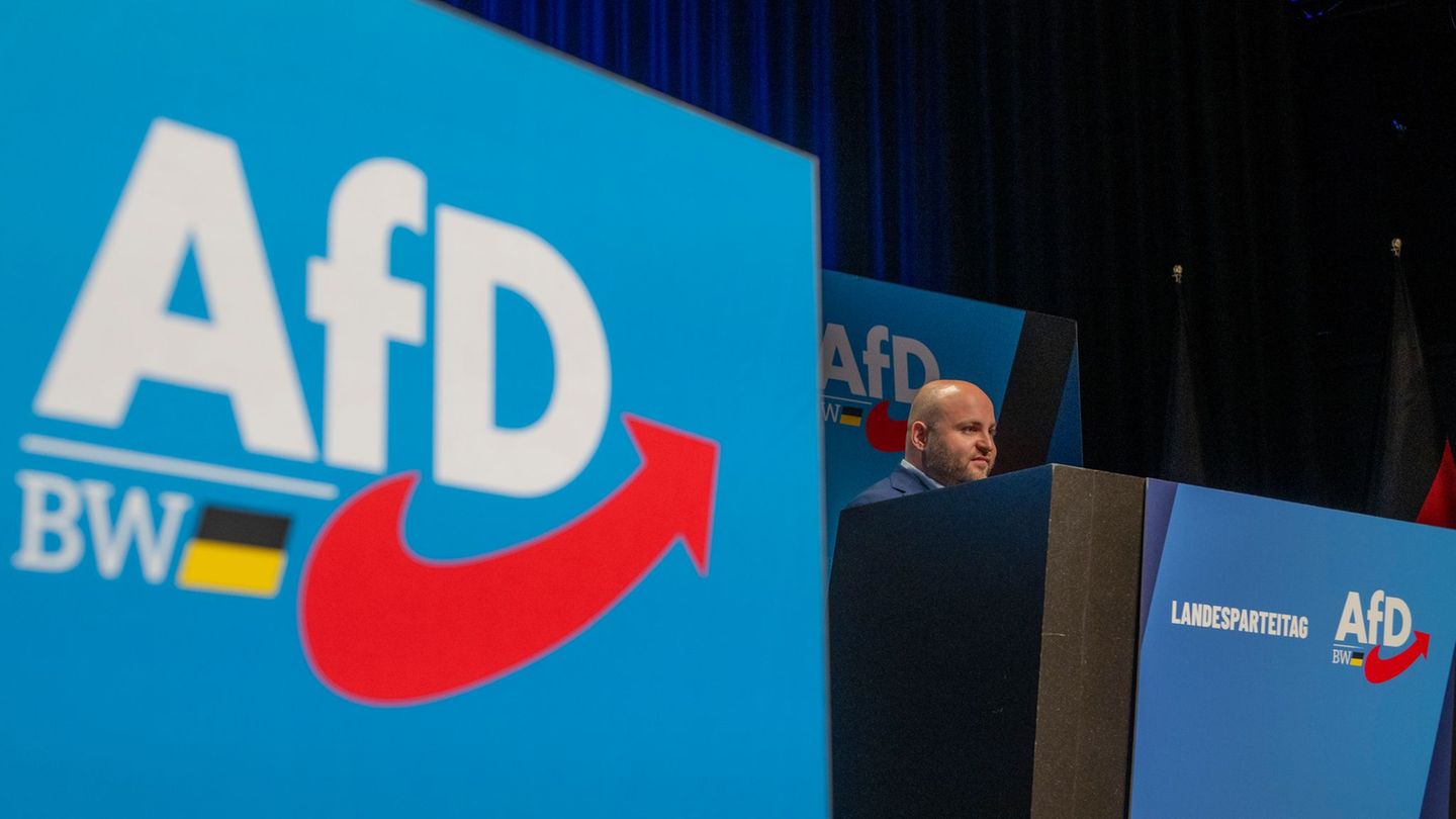 Parteitag in Heidenheim: Wie die AfD an die Macht gelangen will