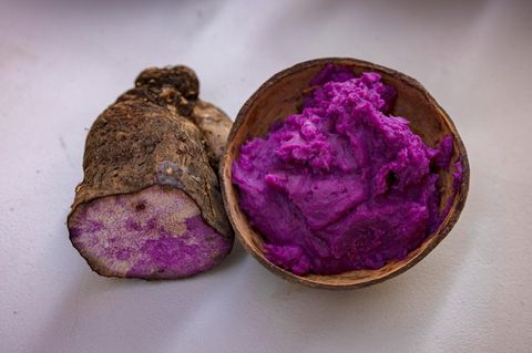Die violette Ube-Knolle