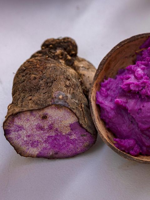 Die violette Ube-Knolle
