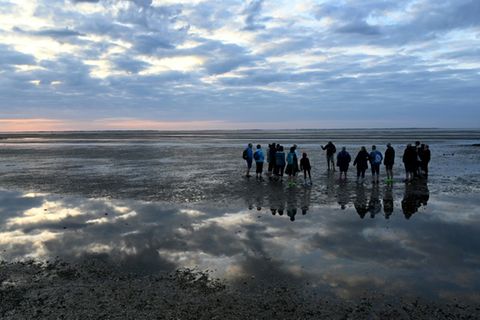Gruppe von Wattwanderern