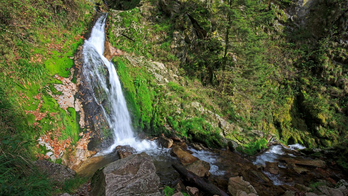 Der Unfall passierte nahe der Allerheiligen Wasserfälle. (Archivbild) Foto: picture alliance / dpa