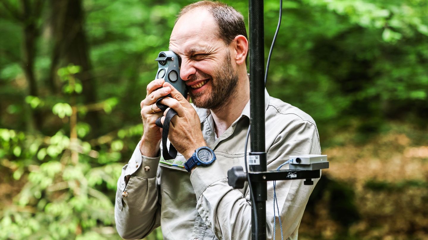 Keding prüft mit einem speziellen Gerät, welche Bäume innerhalb eines festgelegten Winkels stehen und somit für die Stichprobe e