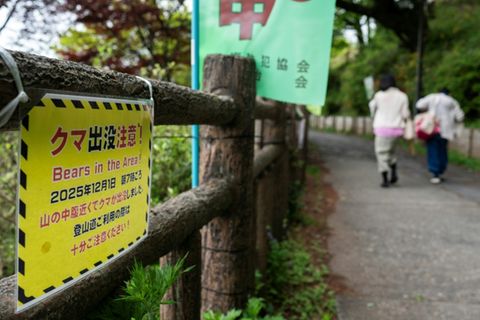 Bären-Warnschild in Japan