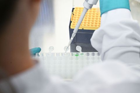 Biotech-Firmen in Deutschland haben 2025 weniger Geld eingesammelt. (Symbolbild) Foto: Bernd Weißbrod/dpa