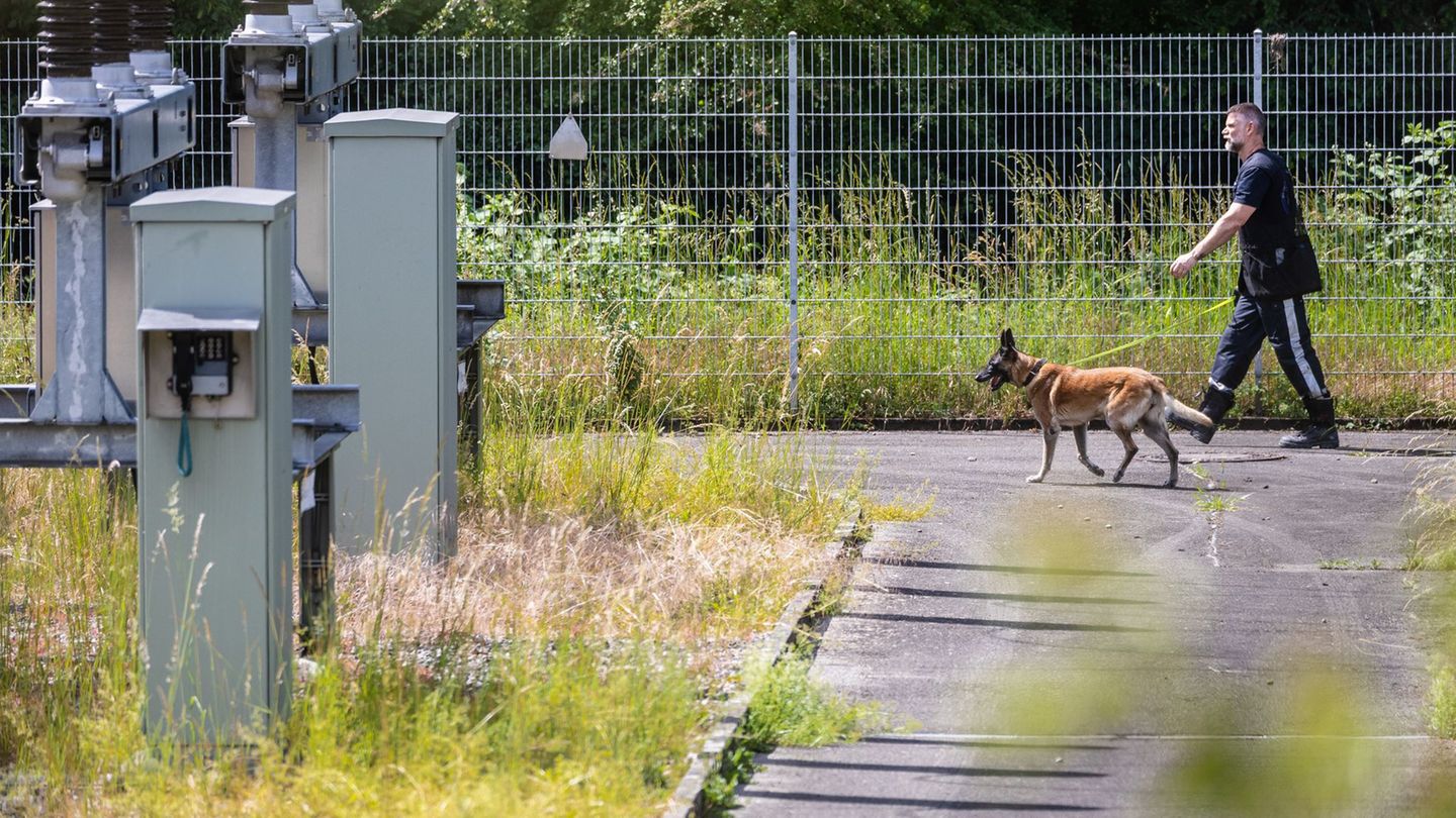 Stromversorgung: Stromausfall in Reutlingen – Polizeihund su