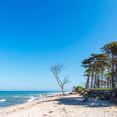 Einen kleinen Hauch von Karibik bietet sich in Deutschland auf der Halbinsel Fischland-Darß-Zingst an der Ostsee.