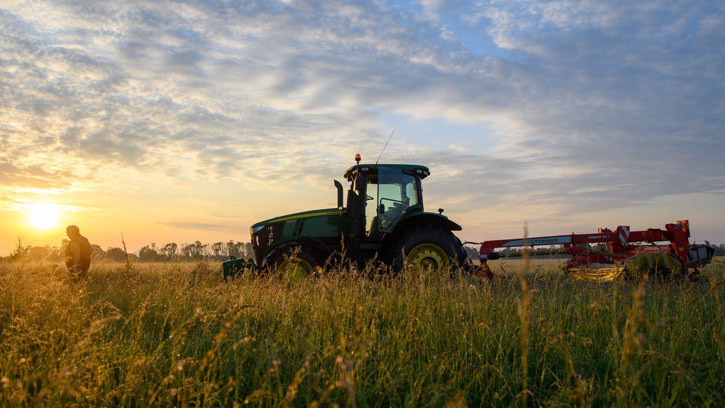 Agrar: Wie wird auf dem Hof gearbeitet? Landwirtschaft öffne