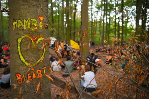 Hambacher Forst 2018