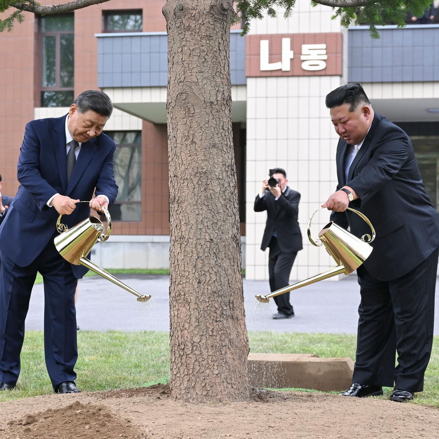 Pjöngjang, Nordkorea. Chinas Präsident Xi Jinping (l.) und Kim Jong Un, Nordkoreas Machthaber, pflanzen gemeinsam eine Tanne in dem Waldgebiet zwischen den Lehrgebäuden der Zentralen Kaderschule der Arbeiterpartei Koreas, WPK. Ob die goldenen Gießkannen wohl auch chinesischer oder nordkoreanischer Produktion entstammen?