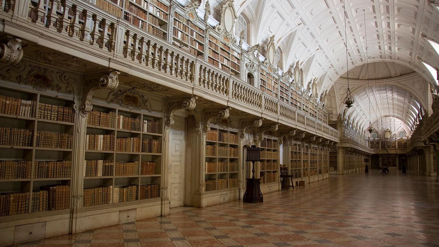 Clevere Zusammenarbeit: Eine der schönsten Bibliotheken der Welt beschäftigt 500 Fledermäuse