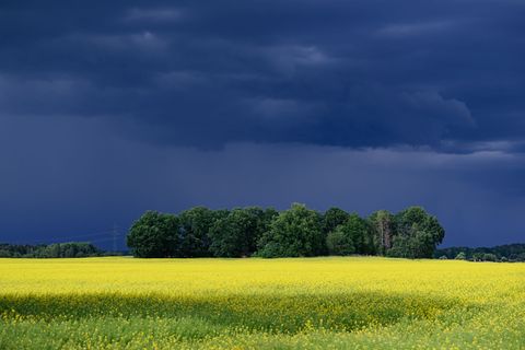 Erst am Freitag sind keine Gewitter mehr angesagt. (Symbolbild) Foto: Robert Michael/dpa