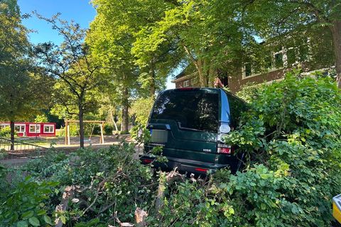 Das Auto in Hamburg, Blankenese, inmitten von Büschen und Ästen