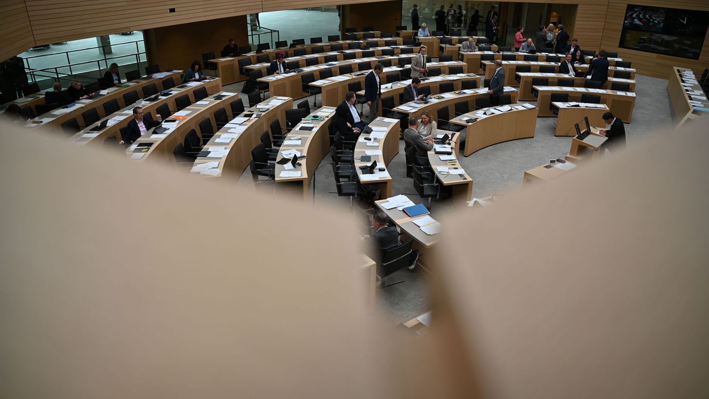 Parlament: So viel verdienen unsere Landtagspolitiker