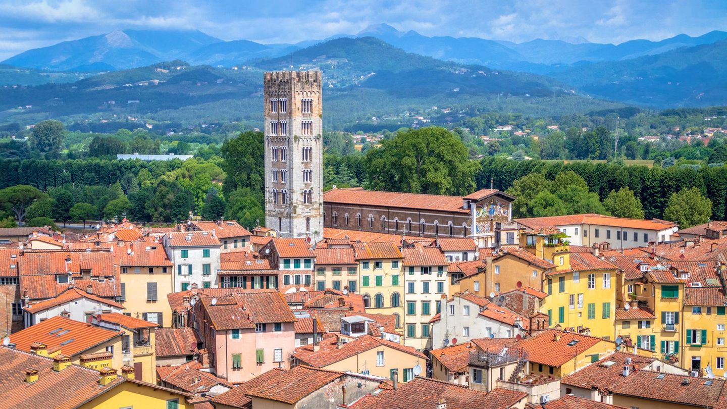 Italien: Frau überfährt Taschendieb mehrfach mit SUV – und m
