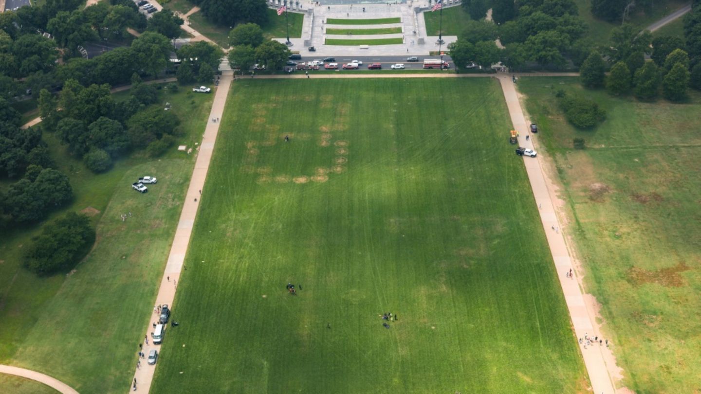 Als Anti-Trump-Slogan geltende Zahlen „8647“ groß 