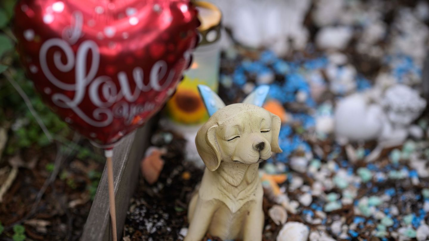 Tierbestattungen: Picknick am Grab - Wie Hessen um Haustiere trauern