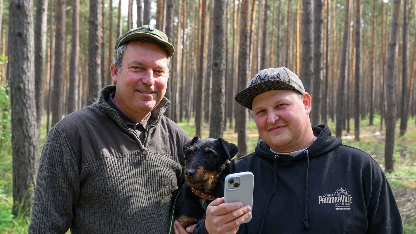 Wildtiere: „Unvergesslich“ - Wenn ein Elch an der Autobahn steht