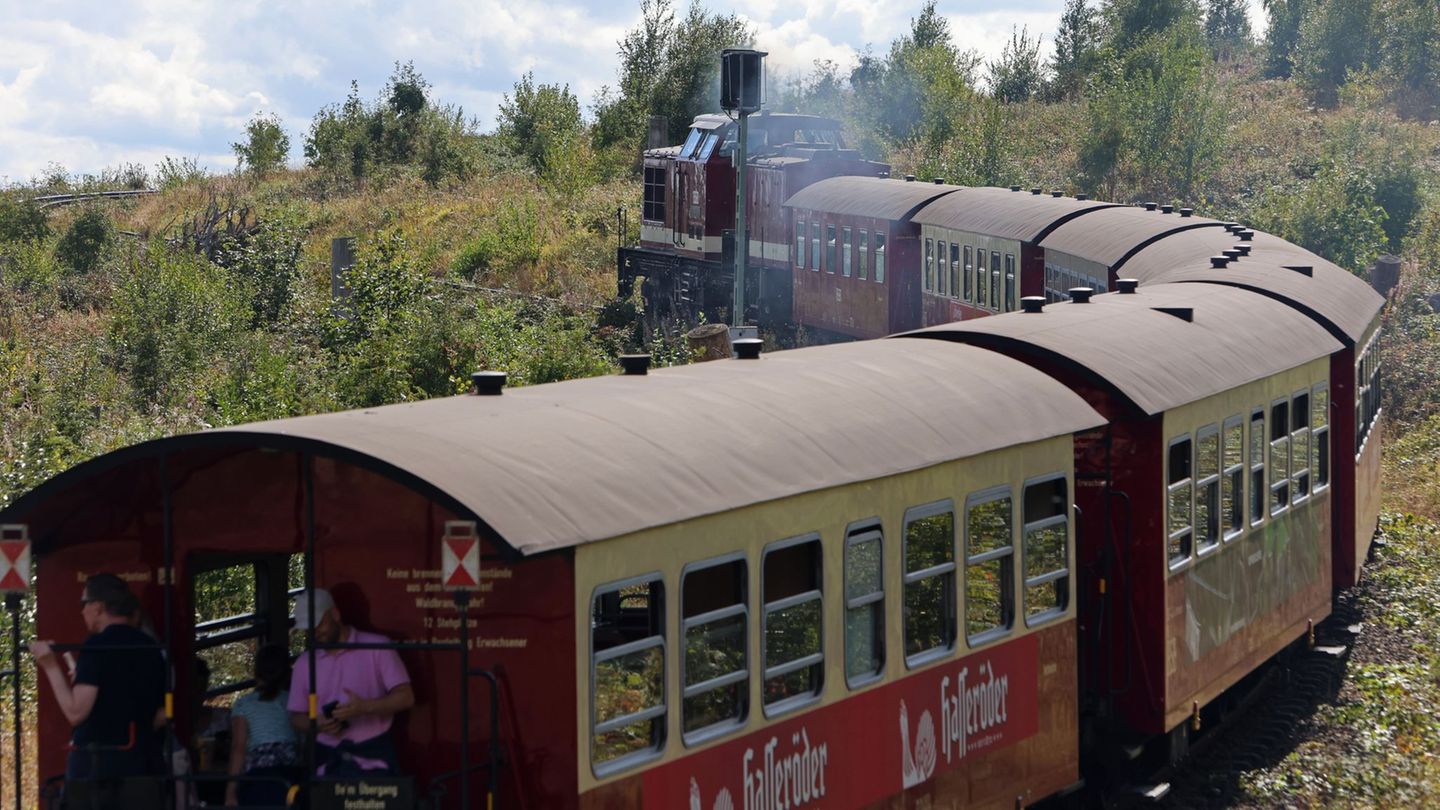 Bauarbeiten in Wernigerode: Sperrung bei Harzer Schmalspurbahnen - was zu beachten ist