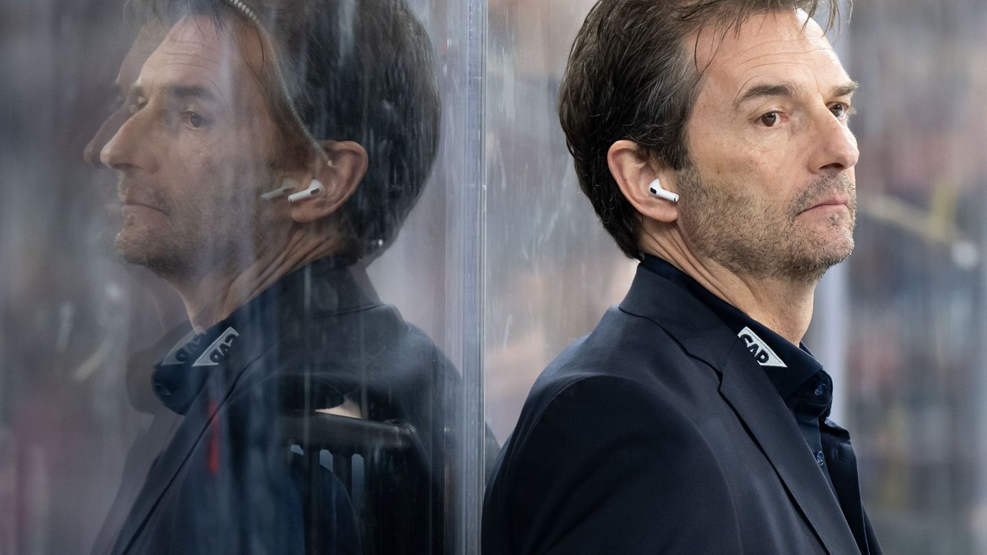 DEL: Erster Europa-Club: Adler Mannheim holen Sturm-Routinier