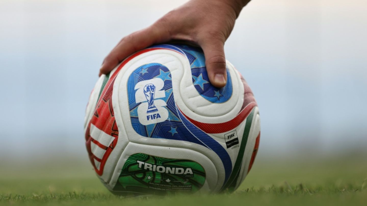 Tierorakel zu Fußballweltmeisterschaft vor erstem Deutschland-Spiel uneins