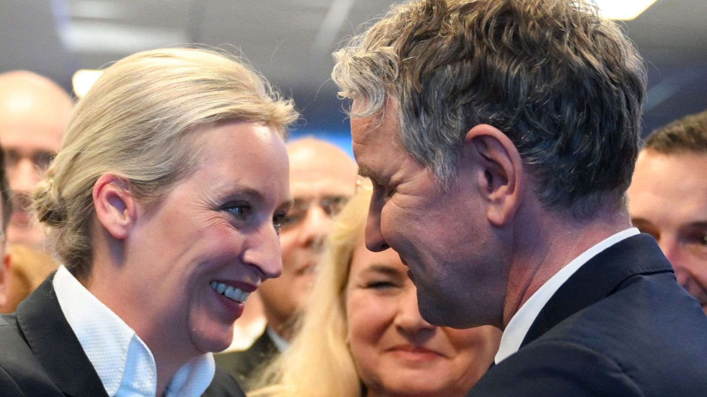 Vor dem Bundesparteitag: Höckes Einfluss in der Bundes-AfD: „Bin angeschlossen“