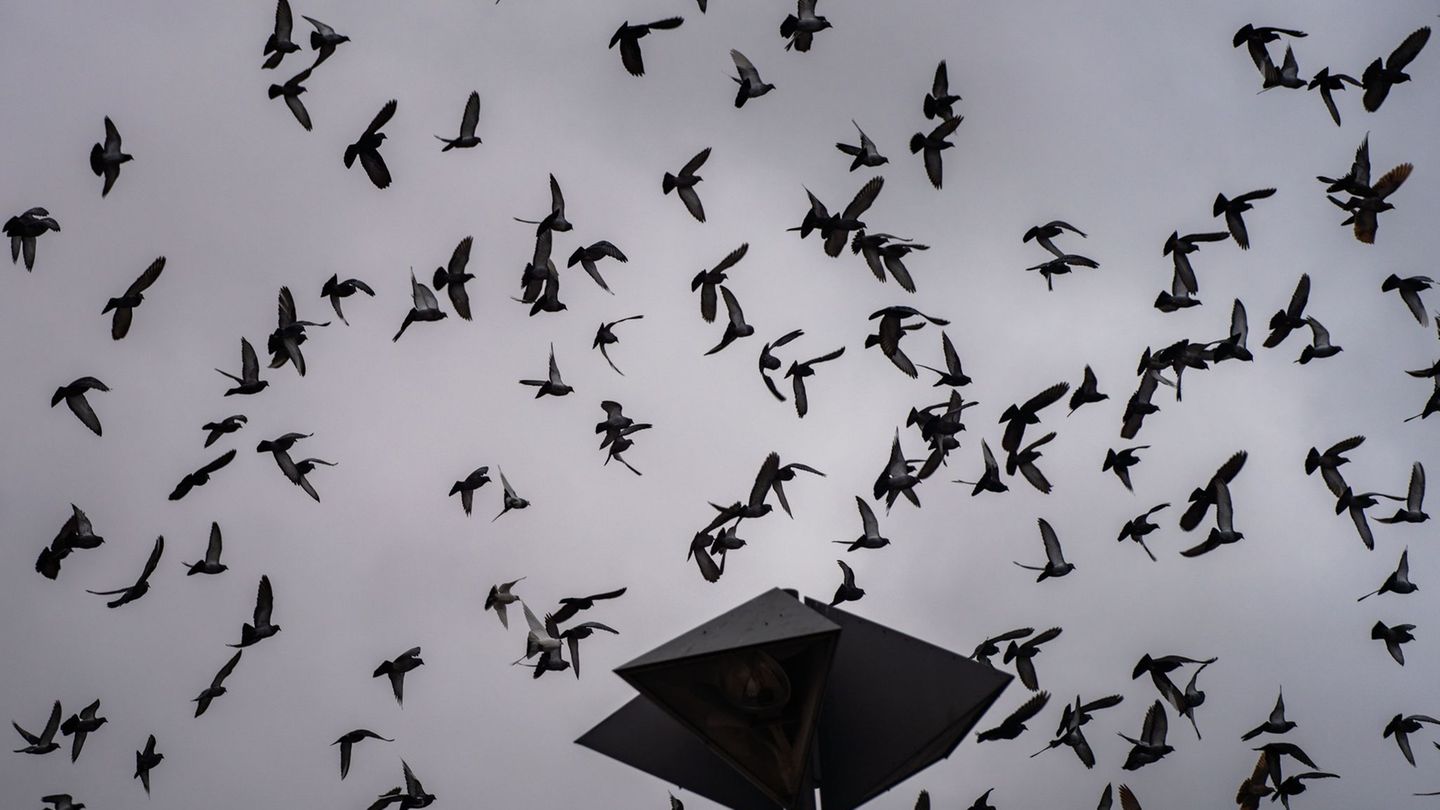 Wetteraussichten: Wolken und Regenschauer zum Wochenstart in Hessen