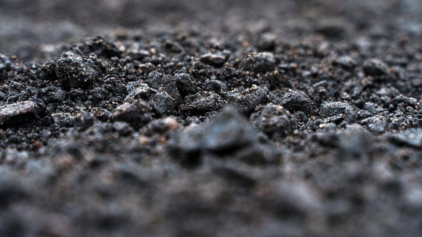 Wissenschaftlich geprüft: „Terra preta“ im Garten: Was die Wundererde wirklich kann