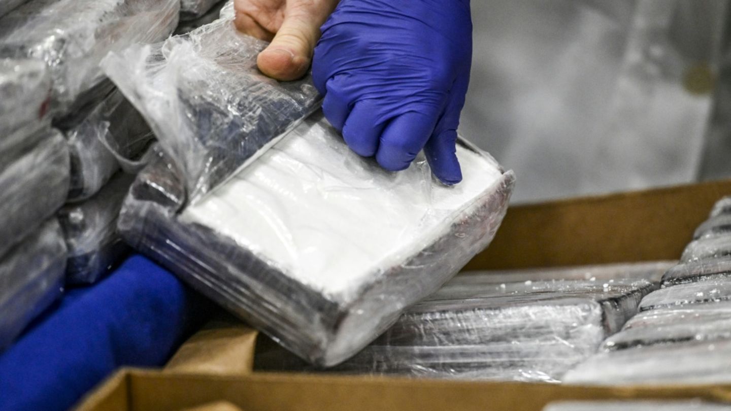 Fruchtimporte als Tarnung für Kokain: Großrazzia gegen mutmaßliche Drogenhändler