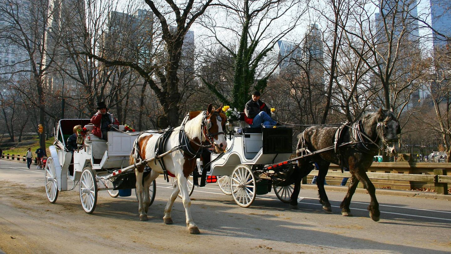 New York City: 18-Jähriger stirbt bei Unfall mit Kutsche im Central Park