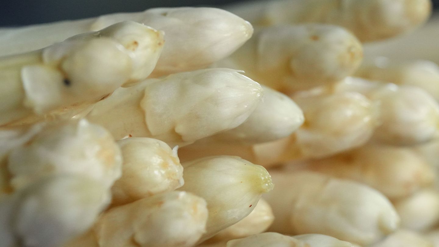 Spargelsaison endet: Weniger Spargel geerntet - Heidelbeer-Saison steht bevor
