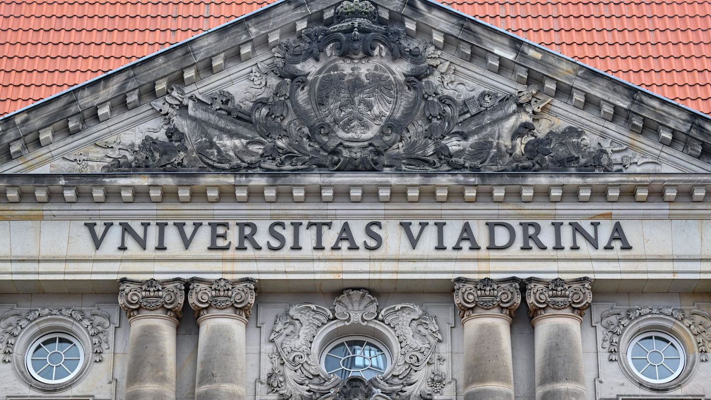 An der Viadrina-Universität: Wem noch vertrauen? Fake News Festival steigt in Frankfurt