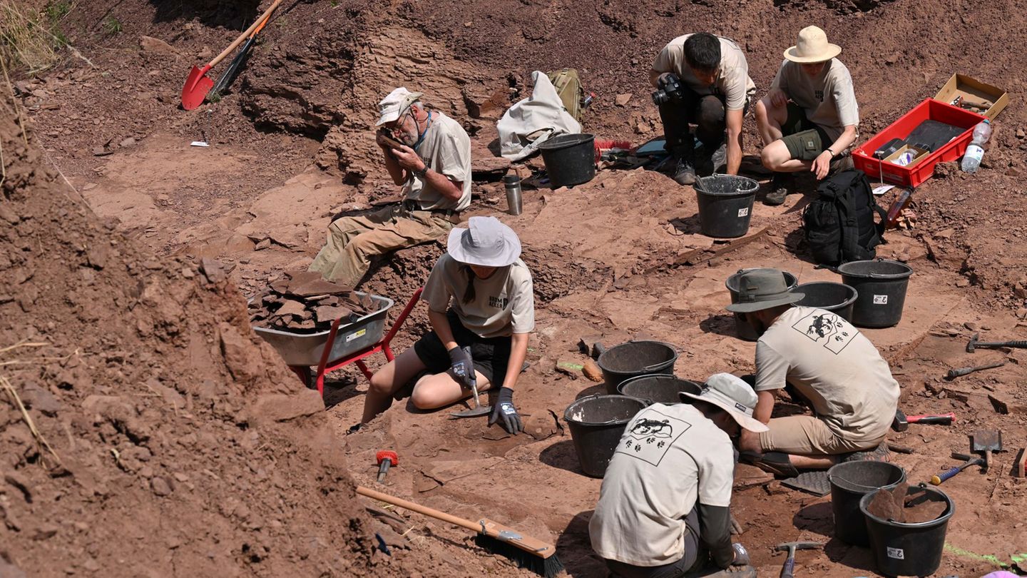 Fossilienfundstelle: Neue Grabung am Bromacker – Land gibt Geld