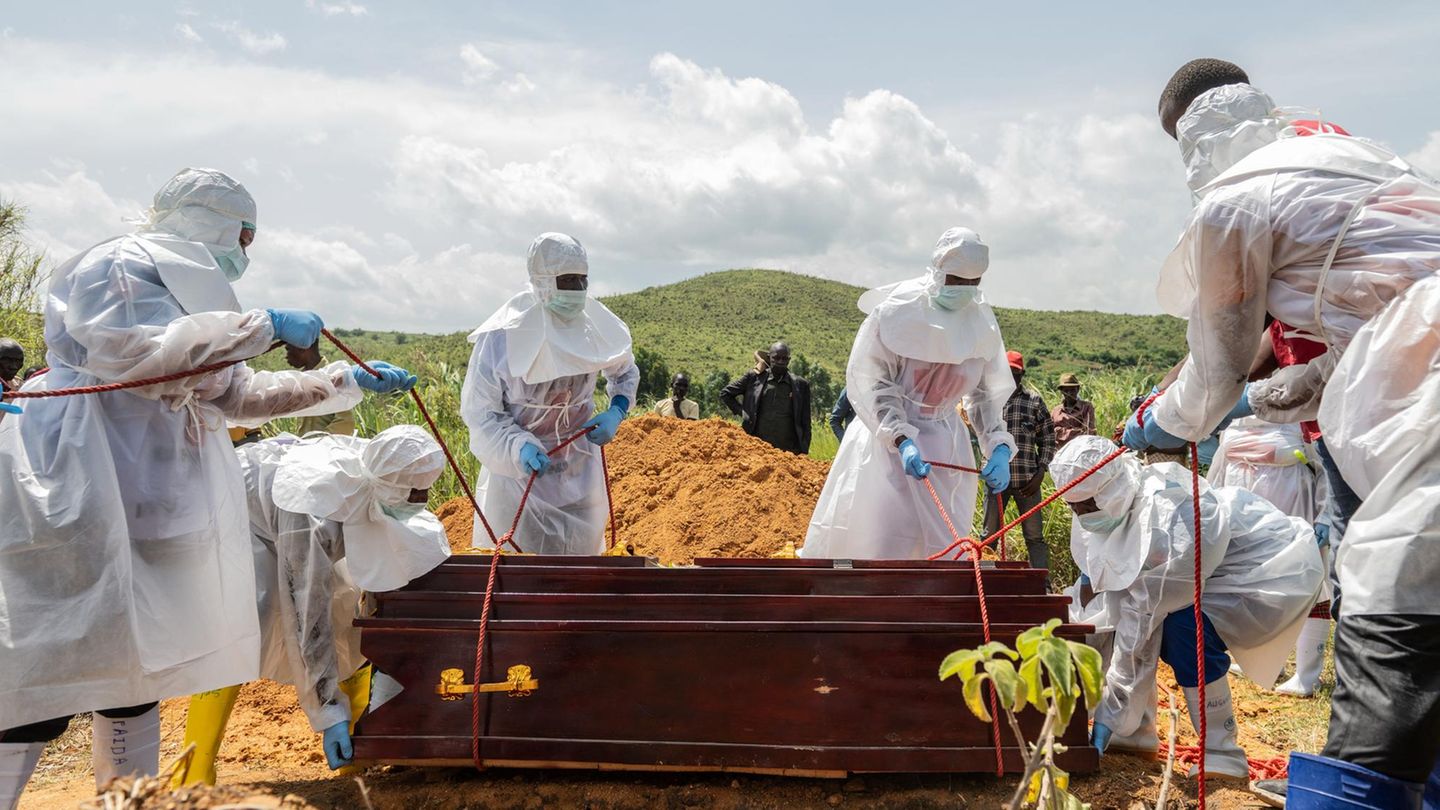 Experten warnen: Zahl der Ebola-Toten im Kongo auf über 200 gestiegen
