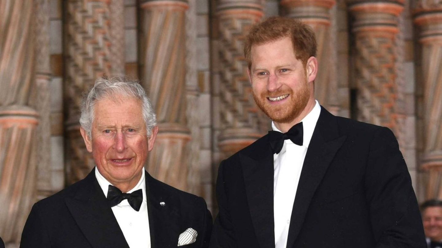 König Charles III.: Will der Monarch eine Versöhnung mit Harry?