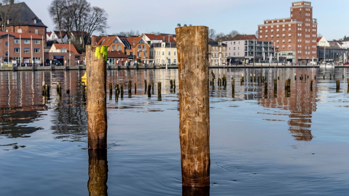 Gelder von der EU: Neuer Heringszaun in Kappeln ist fertig