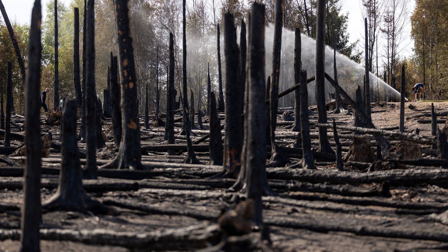 Waldbrandmonitoring: Warum Technik bei Waldbrandüberwachung Nebensache ist