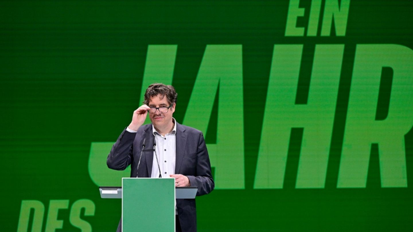 Grüne fordern Koalition zu Rücknahme von Heizungsgesetz auf - vor Anhörung im Bundestag