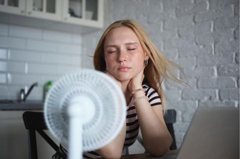 Ein Ventilator sorgt für Abkühlung an heißen Tagen
