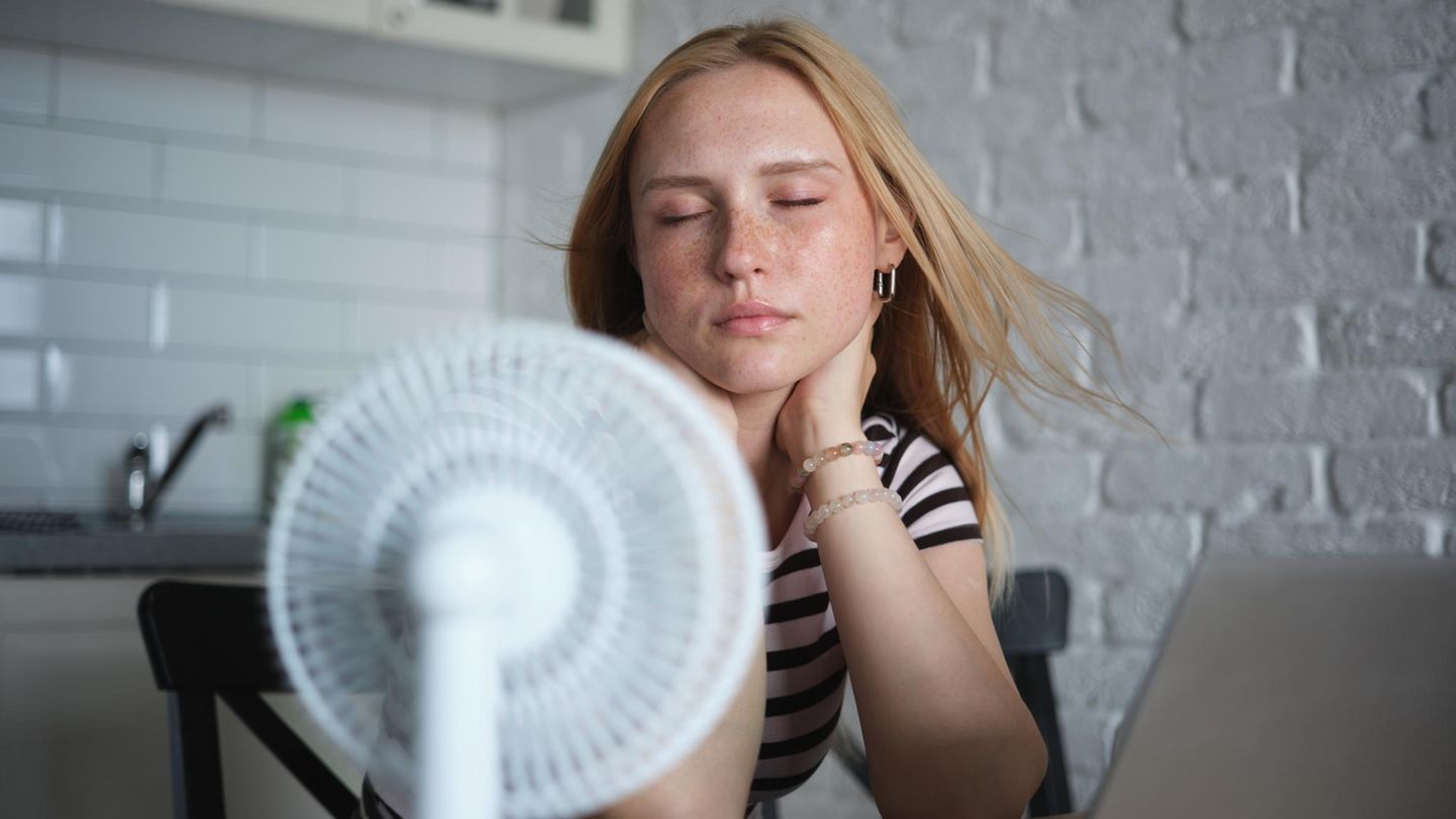 39 Prozent Rabatt: Honeywell-Ventilator am Prime Day: Bestseller stark reduziert