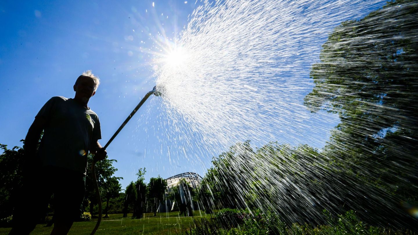Sommerhitze: Stadt und Landkreis Osnabrück rufen zum Wassersparen auf