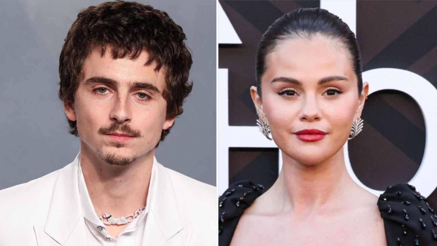 Timothée Chalamet & Selena Gomez: Sie leihen Animationsfilm ihre Stimmen