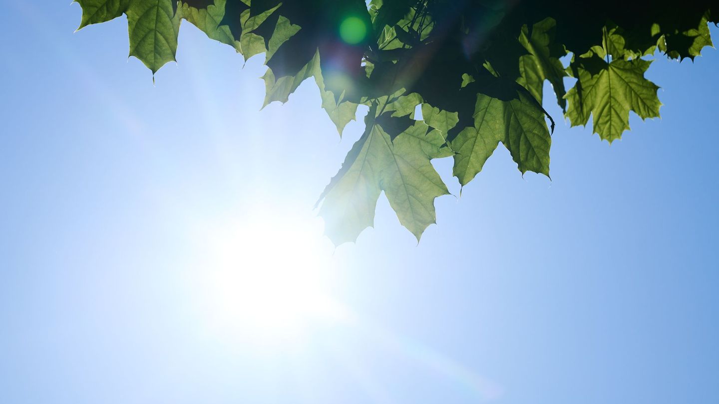 Wetter: Hitze in Berlin und Brandenburg: Bis zu 34 Grad in Sicht