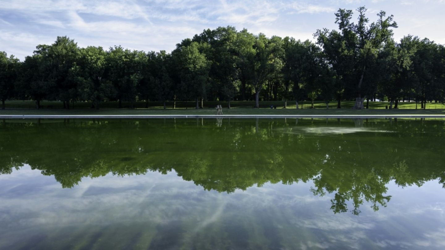 Algen-Wasser in renoviertem Becken in Washington: Trump droht mit Haftstrafen