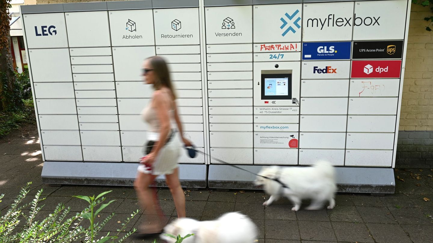 Statt Lieferung an die Haustür: Immer mehr Paketautomaten, doch die Haustür-Abgabe dominiert