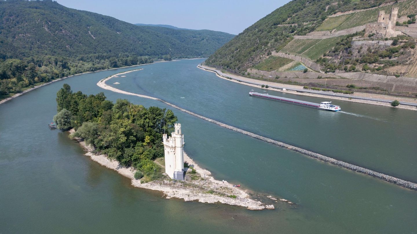 Hitze-News: Rheinland-Pfalz ruft Warnstufe aus: Rhein und Mosel wärmer als 25 Grad