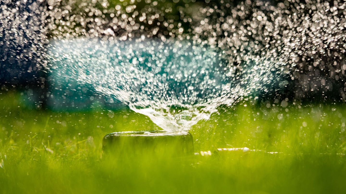 Hitzewelle: Trinkwasser: Wo Hessens Kommunen zum Wassersparen aufrufen