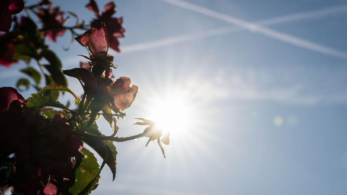 Hitzewelle: Bis zu 40 Grad: Extreme Hitze in Hessen hält an