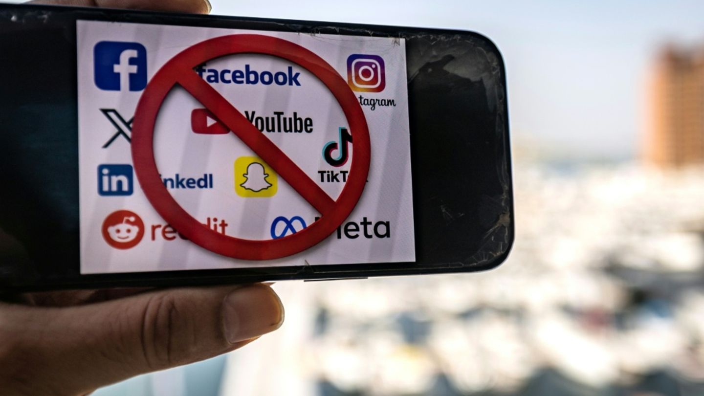 Kein pauschal strenges Social-Media-Verbot: Experten empfehlen zwei Alternativen